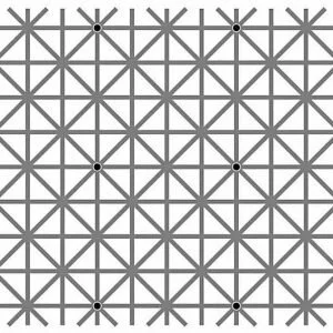 Сколько чёрных точек вы сможете увидеть одновременно?