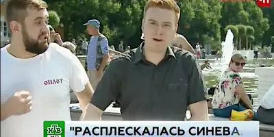 Журналист Никита Развозжаев получил по лицу